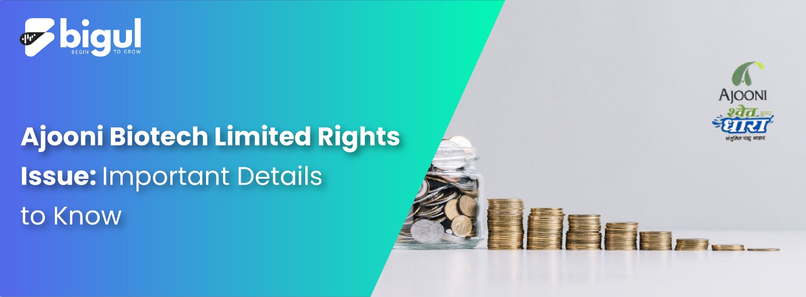 Ajooni Biotech Limited Rights Issue: Important Details to Know